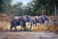 dw009dD animal elefante